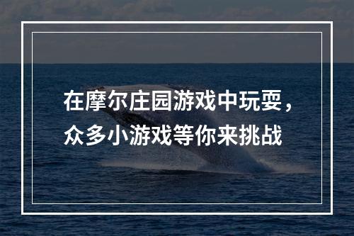 在摩尔庄园游戏中玩耍，众多小游戏等你来挑战