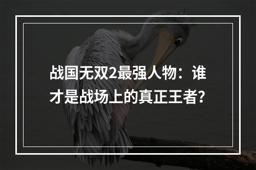 战国无双2最强人物：谁才是战场上的真正王者？