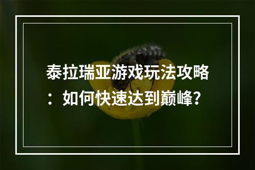 泰拉瑞亚游戏玩法攻略：如何快速达到巅峰？