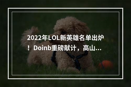 2022年LOL新英雄名单出炉！Doinb重磅献计，高山峰惊喜加入！