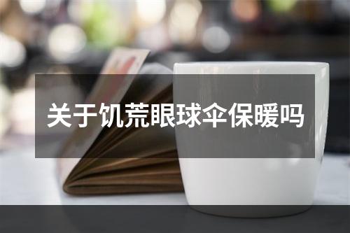 关于饥荒眼球伞保暖吗