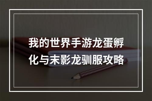 我的世界手游龙蛋孵化与末影龙驯服攻略