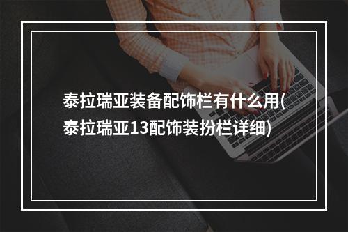 泰拉瑞亚装备配饰栏有什么用(泰拉瑞亚13配饰装扮栏详细)