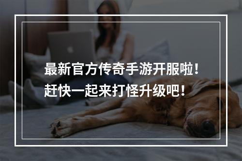 最新官方传奇手游开服啦！赶快一起来打怪升级吧！