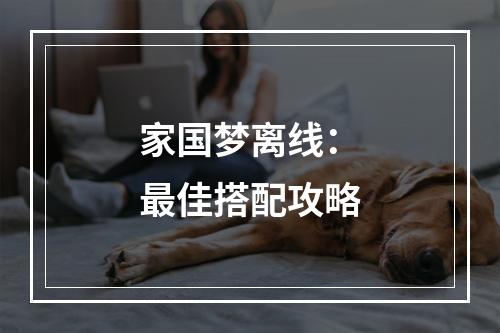 家国梦离线：最佳搭配攻略