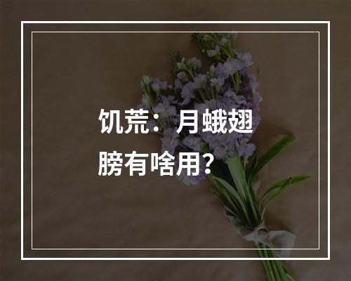 饥荒：月蛾翅膀有啥用？