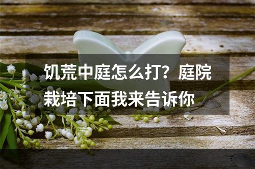 饥荒中庭怎么打？庭院栽培下面我来告诉你