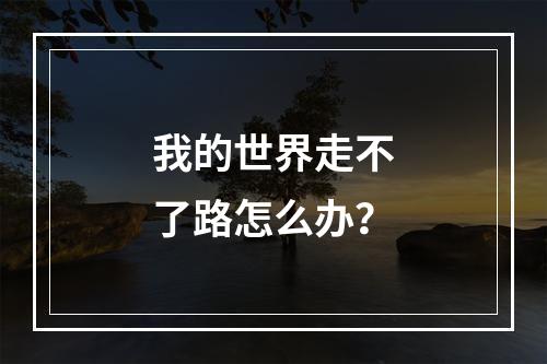 我的世界走不了路怎么办？