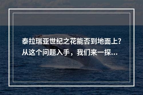 泰拉瑞亚世纪之花能否到地面上？从这个问题入手，我们来一探究竟。