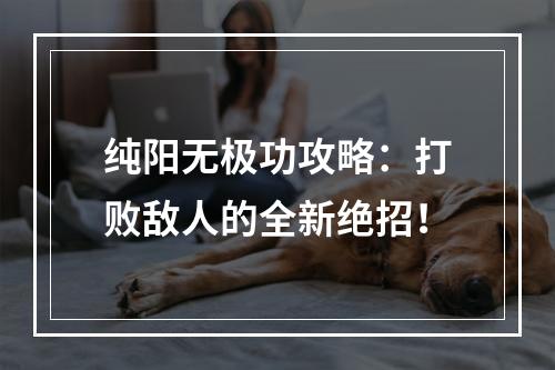 纯阳无极功攻略：打败敌人的全新绝招！