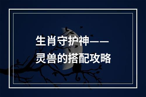 生肖守护神——灵兽的搭配攻略