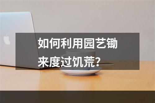 如何利用园艺锄来度过饥荒？