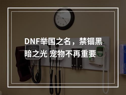 DNF举国之名，禁锢黑暗之光 宠物不再重要