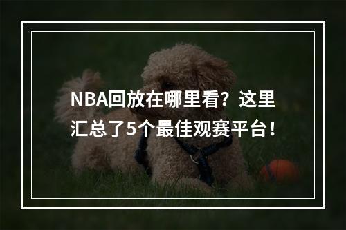 NBA回放在哪里看？这里汇总了5个最佳观赛平台！