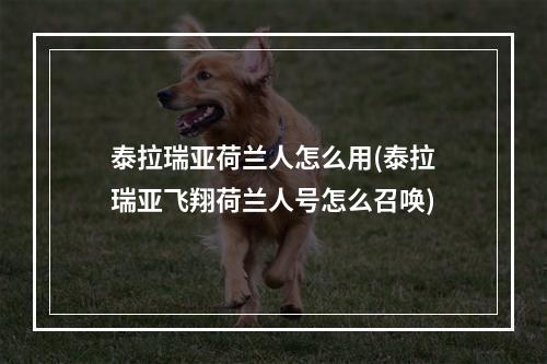 泰拉瑞亚荷兰人怎么用(泰拉瑞亚飞翔荷兰人号怎么召唤)