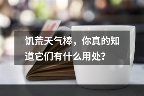 饥荒天气棒，你真的知道它们有什么用处？