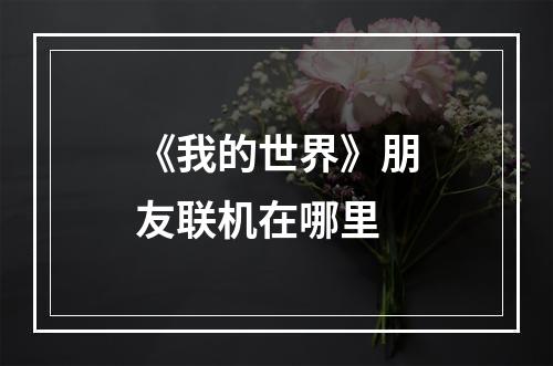 《我的世界》朋友联机在哪里