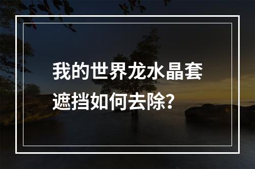 我的世界龙水晶套遮挡如何去除？