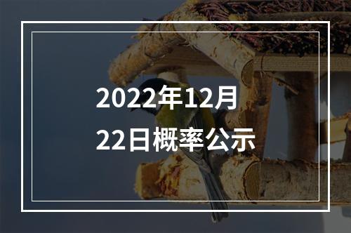 2022年12月22日概率公示