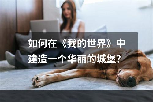 如何在《我的世界》中建造一个华丽的城堡？