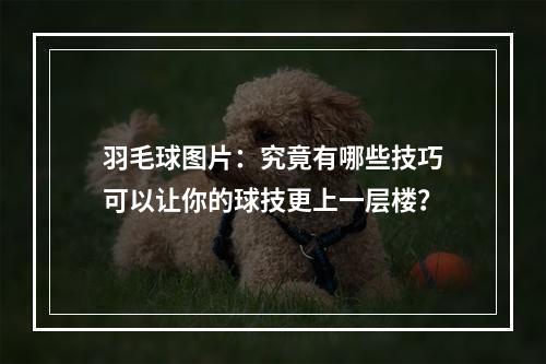 羽毛球图片：究竟有哪些技巧可以让你的球技更上一层楼？