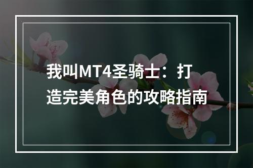 我叫MT4圣骑士：打造完美角色的攻略指南