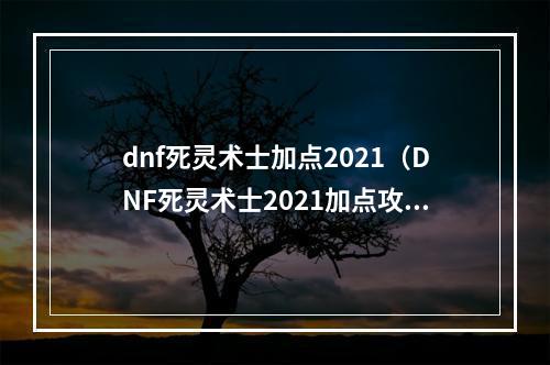 dnf死灵术士加点2021（DNF死灵术士2021加点攻略）