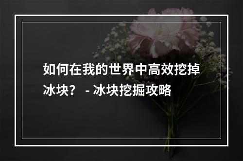 如何在我的世界中高效挖掉冰块？ - 冰块挖掘攻略