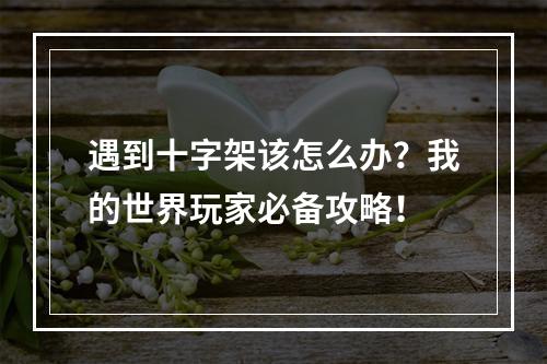 遇到十字架该怎么办？我的世界玩家必备攻略！