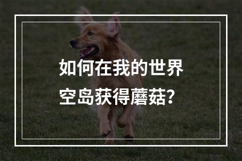 如何在我的世界空岛获得蘑菇？