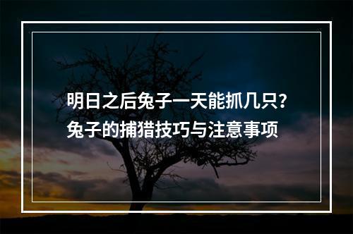 明日之后兔子一天能抓几只？兔子的捕猎技巧与注意事项