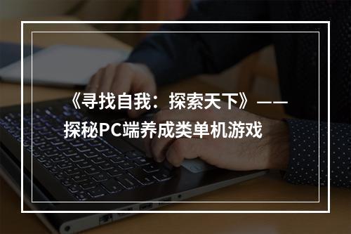 《寻找自我：探索天下》——探秘PC端养成类单机游戏