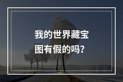 我的世界藏宝图有假的吗？