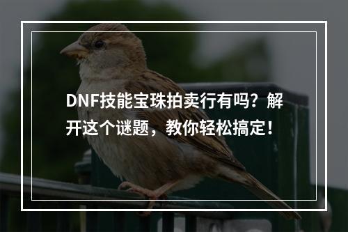 DNF技能宝珠拍卖行有吗？解开这个谜题，教你轻松搞定！