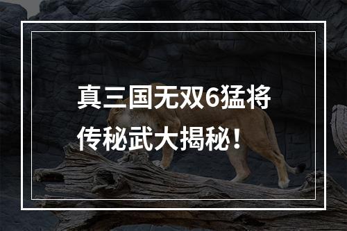 真三国无双6猛将传秘武大揭秘！