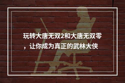 玩转大唐无双2和大唐无双零，让你成为真正的武林大侠