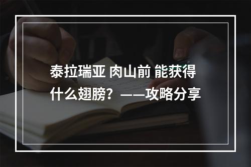 泰拉瑞亚 肉山前 能获得什么翅膀？——攻略分享