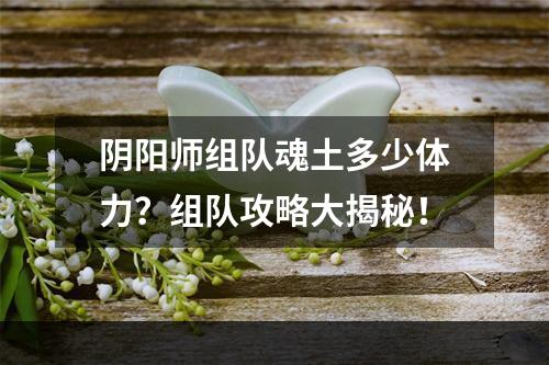 阴阳师组队魂土多少体力？组队攻略大揭秘！