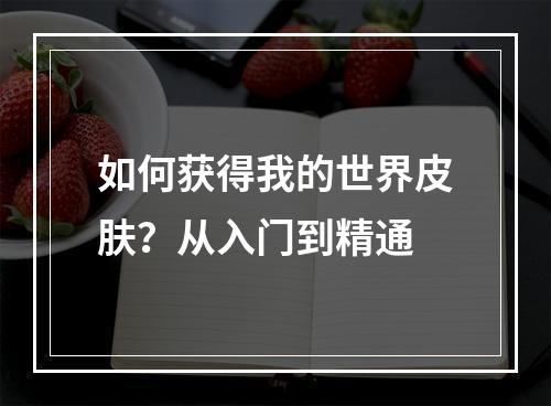 如何获得我的世界皮肤？从入门到精通