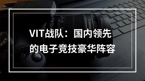 VIT战队：国内领先的电子竞技豪华阵容