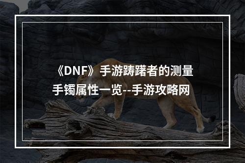 《DNF》手游踌躇者的测量手镯属性一览--手游攻略网