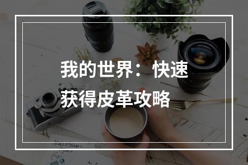 我的世界：快速获得皮革攻略