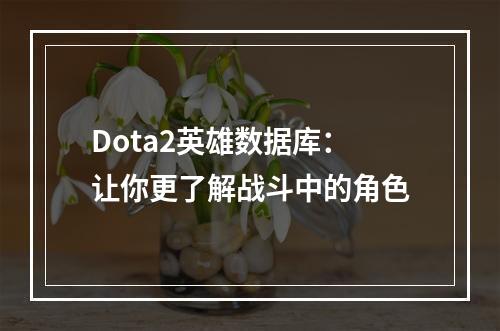 Dota2英雄数据库：让你更了解战斗中的角色