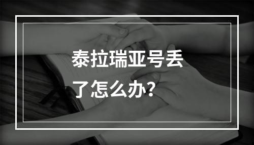 泰拉瑞亚号丢了怎么办？