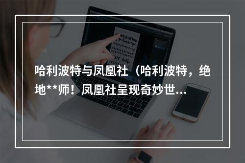 哈利波特与凤凰社（哈利波特，绝地**师！凤凰社呈现奇妙世界！）