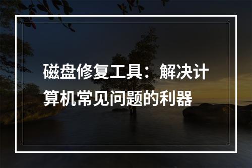 磁盘修复工具：解决计算机常见问题的利器