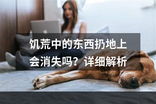 饥荒中的东西扔地上会消失吗？详细解析