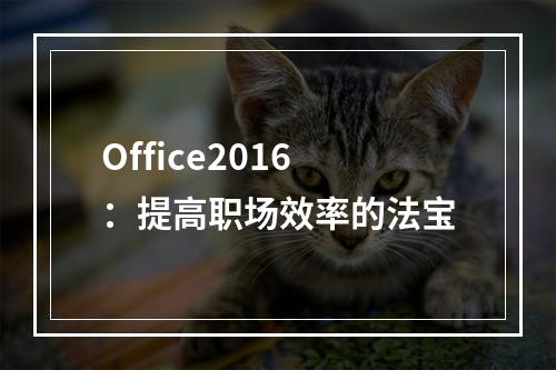 Office2016：提高职场效率的法宝