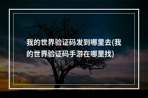 我的世界验证码发到哪里去(我的世界验证码手游在哪里找)