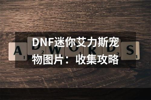 DNF迷你艾力斯宠物图片：收集攻略